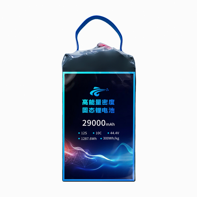 领动 300mAh 12s1p