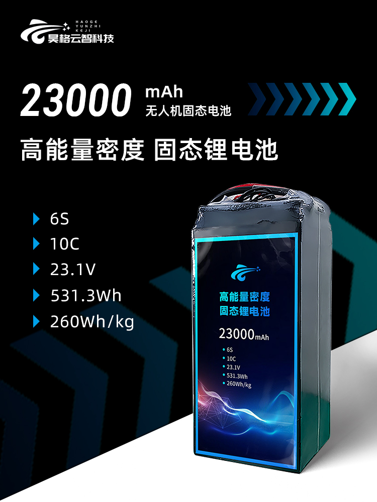 领动 260mAh 6s1p
