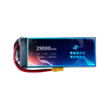 领动 300mAh 6s1p