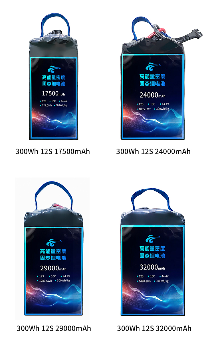 领动 300mAh 12s1p